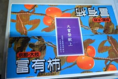 【京都市農協 大枝支部】＜令和7年11月中旬～発送＞大枝冨有柿（Mサイズ 18個）
