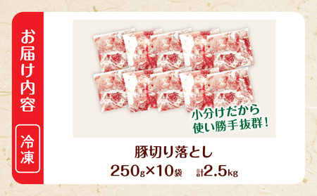 大人気 生冷凍 厳選 豚切り落とし 計2.5kg 豚肉 おすすめ 国産 食品 焼肉 肉じゃが 豚汁 野菜炒め おかず お弁当 晩ご飯 グルメ 小分け 個包装 真空パック おすそ分け お取り寄せ 新鮮 