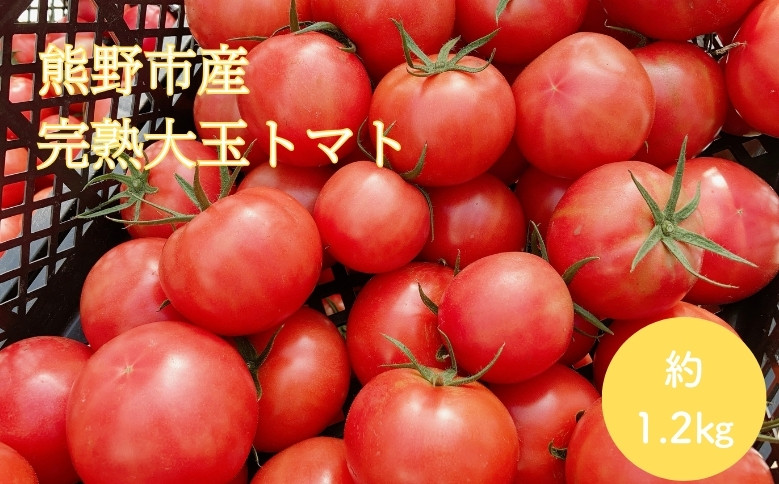 
            【2025年12月以降配送】熊野薬草園の大玉トマト（1.2㎏） トマト 大玉トマト 熊野 予約受付
          