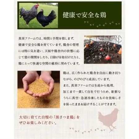 黒さつま鶏しゃぶしゃぶ2～3人前【配送不可地域：離島】【1186064】