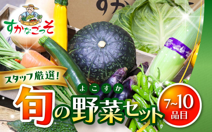 
                  よこすか野菜セット すかなボックス / 野菜 やさい 野菜ボックス 野菜セット 野菜詰め合わせ 産地直送 野菜BOX おまかせ 食べ比べ 新鮮 季節 お楽しみ 【JAよこすか葉山】 [ASCB001]
                