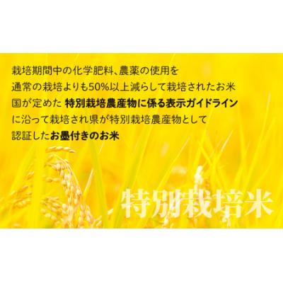 ふるさと納税 大野市 地球にやさしいパックご飯 10食入り【玄米】　減農薬・減化学肥料 「特別栽培米」-地球にやさしいお米 |  | 02