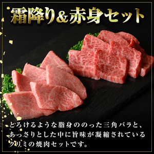 【B01036】鹿児島黒牛 霜降り＆赤身焼肉セット(計約800g・各400g×2種) 牛肉専門店自慢のお肉 鹿児島 国産 九州産 牛肉 黒牛 鹿児島黒牛 三角バラ クリミ 焼肉 やきにく バラエティ 