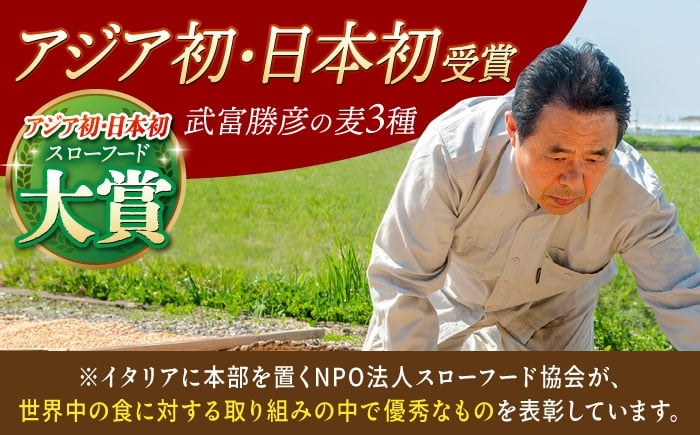 麦 雑穀 雑穀米 麦ごはん 1等麦 特別栽培農産物 佐賀 食物繊維 健康 健康食品 栄養 500g