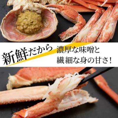 ふるさと納税 白老町 ゆでたて冷蔵便 32尾から60尾で8kg 訳あり オオズワイガニ(オス・メスおまかせ) |  | 01