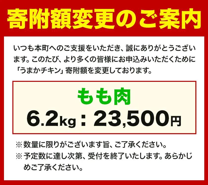 鶏肉 もも肉 合計6.2kg 鶏肉 モモ肉 うまかチキン《3-7日以内に出荷予定(土日祝除く)》