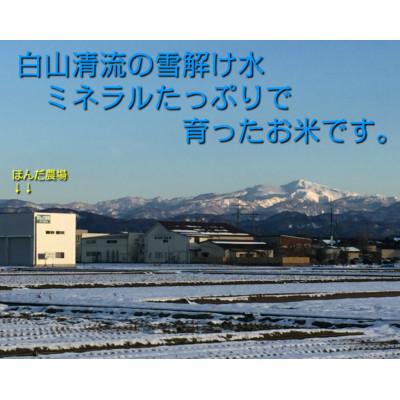 ふるさと納税 能美市 天日干有機米こしひかり「天地の誉」白米5kg |  | 01