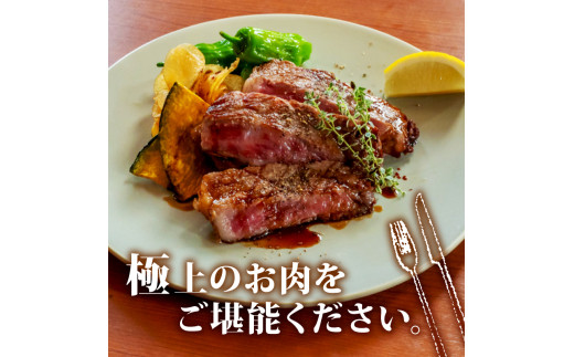 【定期6回】土佐黒毛和牛サーロインステーキ 計2.64kg【440g×6ヶ月連続お届け】 2Sコース