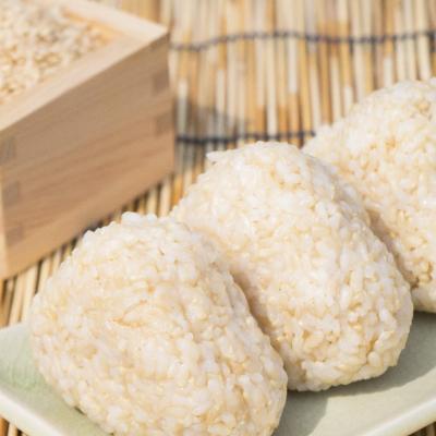 ふるさと納税 陸前高田市 【3ヶ月定期便】 たかたのゆめ 玄米 10kg×3ヶ月 (合計30kg) 令和7年産 米 お米 |  | 01