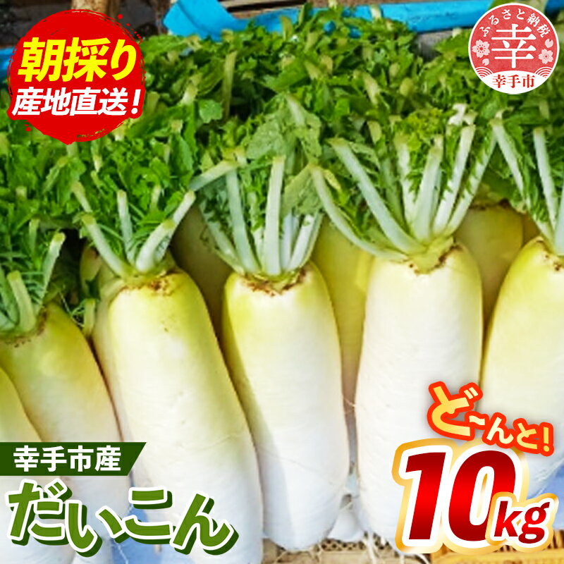 【ふるさと納税】【きあり農園】幸手市産 大根 10kg - 朝採れ ダイコン だいこん 産地直送 野菜 ベジタブル 美味しい おいしい 冬野菜 煮物 鍋 おでん おすすめ 送料無料 埼玉県 幸手市
