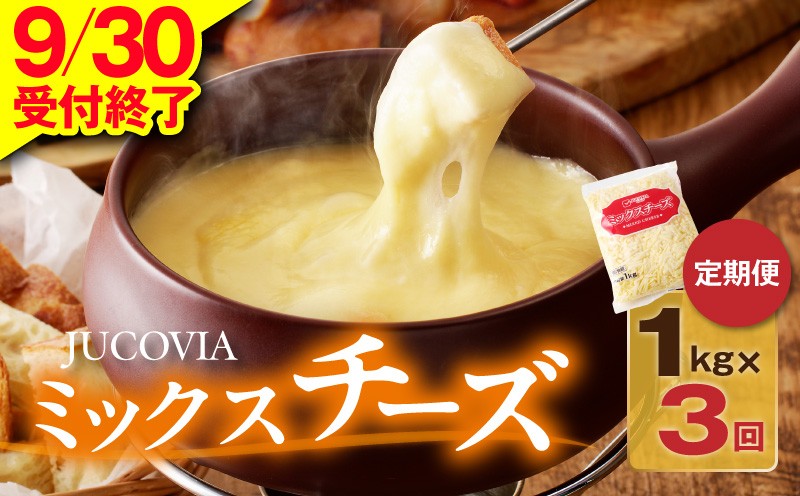 
                  【9/30受付終了】JUCOVIA ミックスチーズ 定期便 1kg×全3回【小分け 普段使い 高評価 ちーず 乳製品 ムラカワチーズ 一人暮らし ファミリー ピザ トースト】
                
