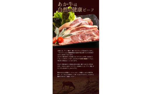 あか牛（褐色和種）ロースステーキ (リブまたはサーロイン) 250g×2 《30日以内に出荷予定(土日祝除く)》---hkw_26_lcl_3_500g---