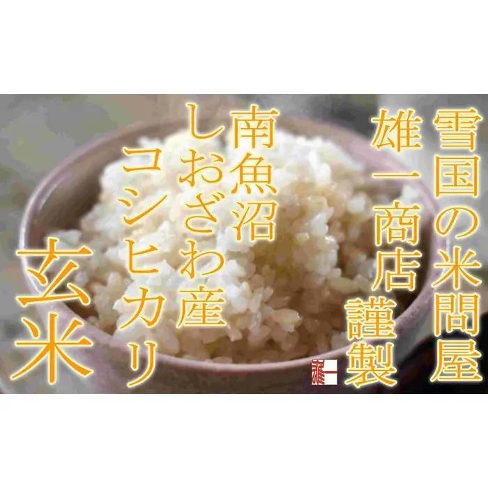【令和7年産】●玄米● 【定期便5Kg×12ヶ月】 生産者限定 南魚沼しおざわ産コシヒカリ【定期便 銘柄米 ブランド米 玄米 こしひかり コシヒカリ 魚沼産 新潟米 産地直送 お米 米 こめ コメ ご
