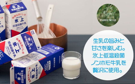 カタシマプリン ひかみ牛乳×こだわり卵 3個〈丹波市〉スイーツ