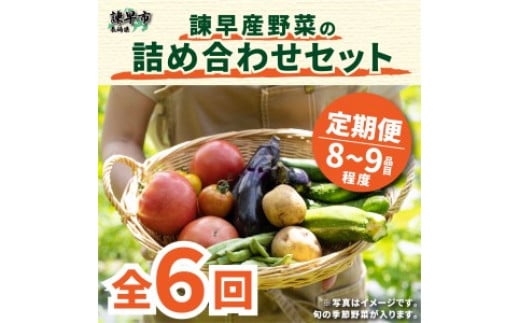 【6回定期便】諫早産野菜の詰め合わせ(8〜9品目程度) / 季節 旬 野菜 春野菜 夏野菜 秋野菜  / 諫早市 / 肥前グローカル株式会社 [AHDI002]