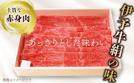 【霜降りと赤身】伊予牛絹の味_しゃぶしゃぶ用1㎏（ロース500g、もも500g）(冷凍)｜黒毛和牛 A4～A5