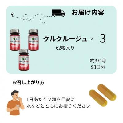 ふるさと納税 川崎市 高吸収型クルクミン　クルクルージュ62粒入り3本 |  | 01