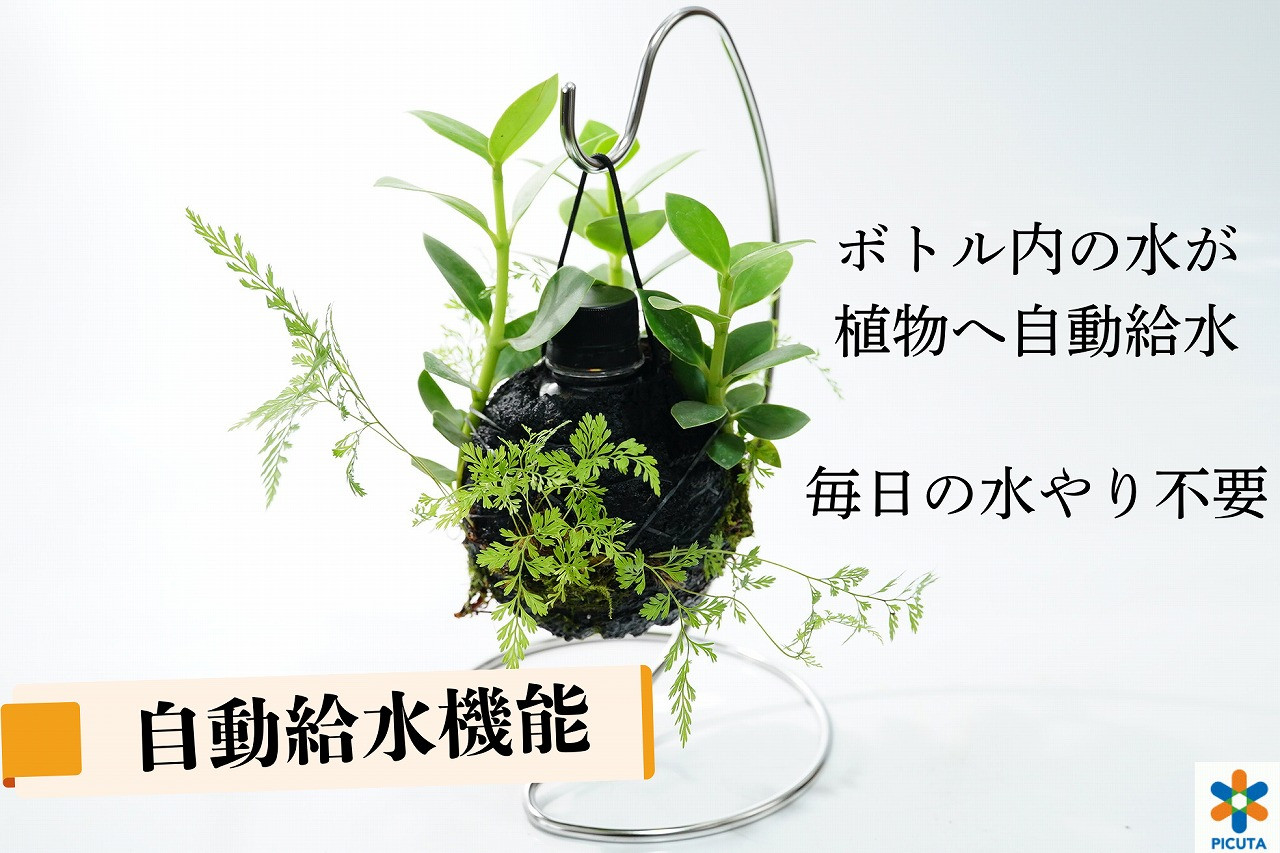ボトルプランター
