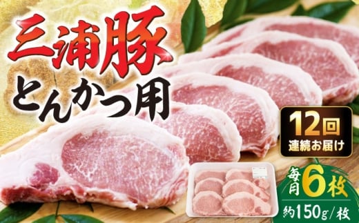 【12回定期便】 三浦豚 豚肉 ロース900ｇ（ステーキ/とんかつ用）/ ブランド豚 国産 ポーク とんかつ 恵那市 / あづま精肉店 [AUDL011]
