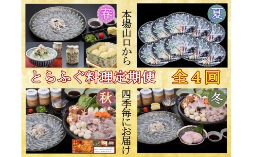 【定期便】とらふぐ料理定期便 年4回（季節毎）【ふぐ刺し 鍋 ふぐ から揚げ 唐揚げ ふぐちり ふぐ鍋 ひれ酒 人気 国産 とらふぐ 宴会 板前 ポン酢 薬味 家族 コンフィ シュウマイ 春夏秋冬 天然 豪華 年4回 山口県】