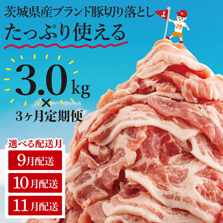 【ふるさと納税】【選べる配送月】【3か月定期便】【数量限定】リピーター続出！茨城県産豚ブランド切り落とし計9kg(3kg×3回)【肉 豚肉 切り落とし 小分け 真空 真空パック 茨城県産 肉料理 肩ロース ウデ モモ バラ 水戸市 水戸】（EC-9_2-9）