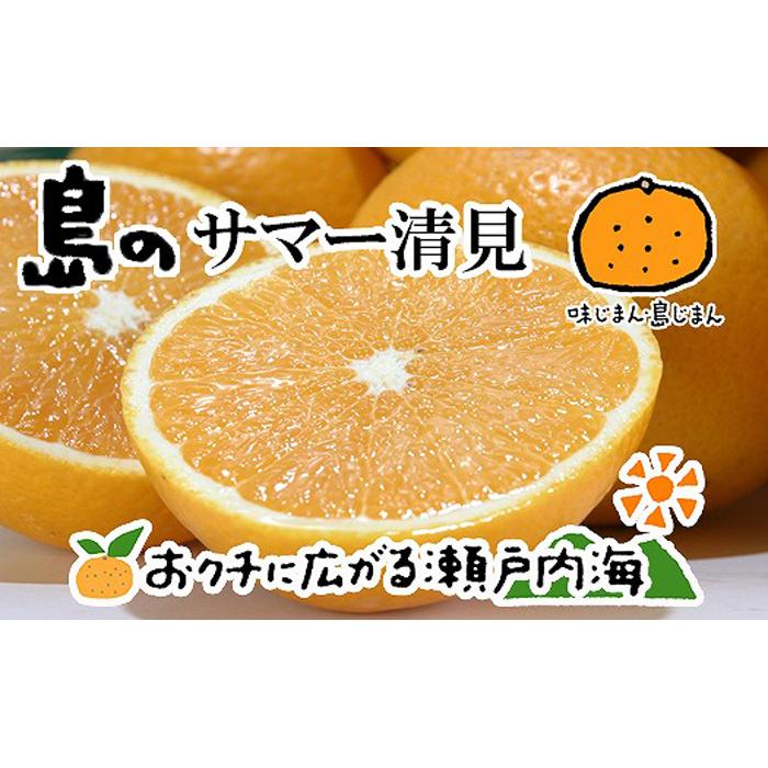 【ふるさと納税】 【2026年4月上旬から発送】 サマー清見 4kg 愛媛 中島産 | 愛媛 みかん 先行予約 蜜柑 柑橘 果物 くだもの フルーツ お取り寄せ グルメ 期間限定 数量限定 人気 おすすめ 愛媛県 松山市