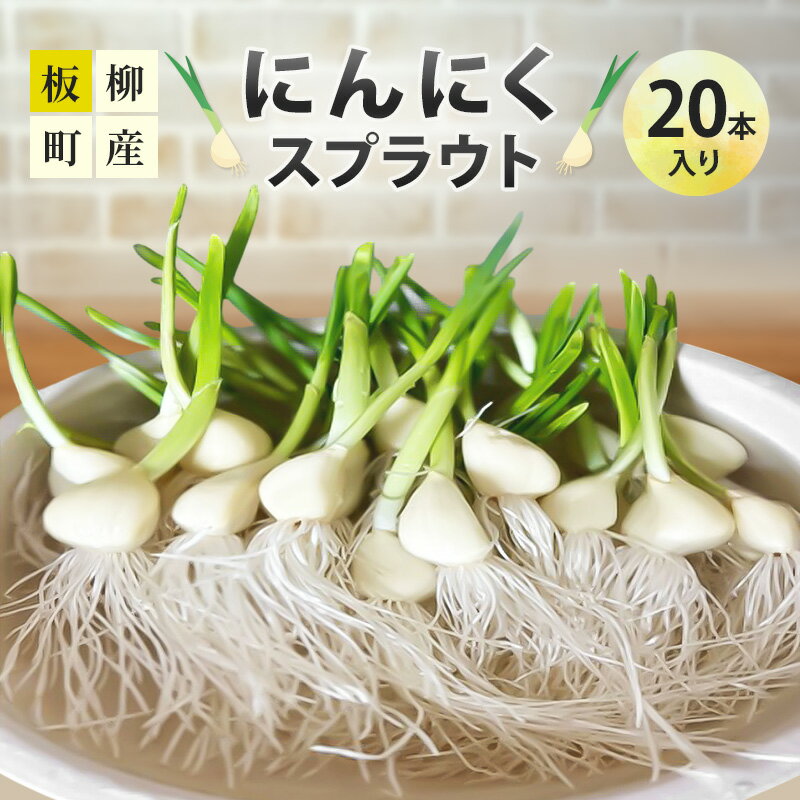 【ふるさと納税】にんにくスプラウト20本入り　お届け：2025年12月1日～2026年3月31日まで