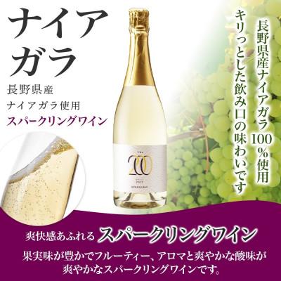 ふるさと納税 湯浅町 スパークリングワイン ナイアガラ 10度 750ml 1本 果実酒 発泡ワイン 湯浅ワイナリー |  | 01