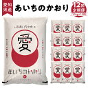 【ふるさと納税】米 定期便 愛知県産 あいちのかおり 10kg × 12回 計120kg 愛知県 碧南市 送料無料