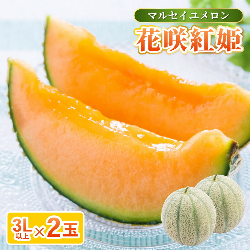 【ふるさと納税】【先行予約】坂井市砂丘地のマルセイユメロン 花咲紅姫 3L以上 2個入り 化粧箱入り 【2026年6月中旬以降順次発送予定】 【メロン めろん フルーツ デザート 果物 くだもの 果実 赤肉 糖度 甘い ジューシー お取り寄せ グルメ 産地直送 贈答 ギフト 贈り物】