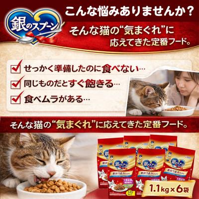 ふるさと納税 上里町 銀のスプーン 贅沢うまみ仕立て 下部尿路の健康維持用 1歳〜10歳頃まで 1.1kg×6袋 |  | 01
