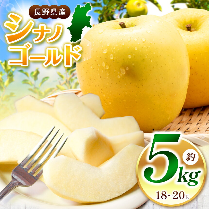 【ふるさと納税】シナノゴールド 5kg(18～20玉)｜ふるさと納税 松本市 りんご 林檎 果物 フルーツ 詰め合わせ シナノゴールド 美味しい