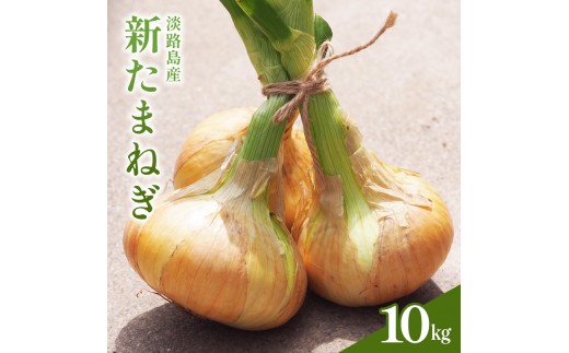 
                  淡路島 新玉ねぎ 10kg 玉ねぎ 新玉 タマネギ 淡路島産 10キロ スープ ハンバーグ 肉じゃが 野菜 サラダ FARM YOLO 淡路 洲本市 [№5395-0453]
                