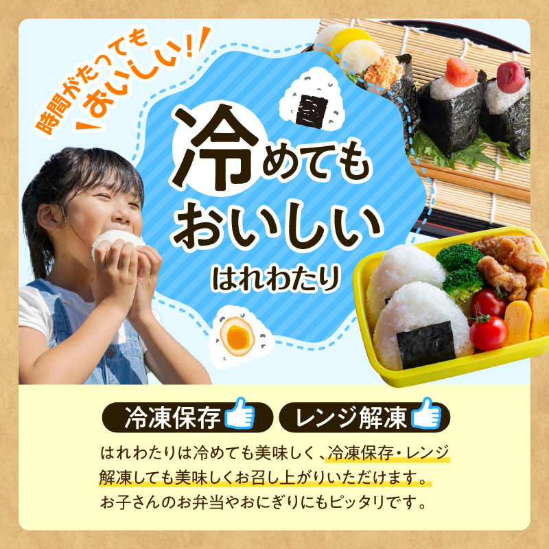 令和7年産 米 5㎏ はれわたり 青森県産 （精米） 【 青森県 五所川原市 白米 お米 コメ こめ 5キロ 】