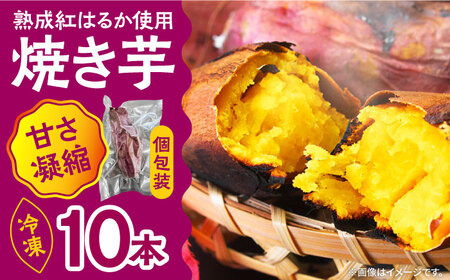 【数量限定】【ねっとり甘い熟成サツマイモ】冷凍焼き芋（紅はるか） 10本(S-M) / さつまいも やき芋 冷凍 小分け 個包装 冷やし焼き芋 / 南島原市 / 池田海陸物産 [SEW002]