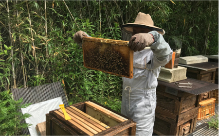 【希少な「生」はちみつ！】100％ 純粋はちみつ（百花蜜）3種セット＜那珂川養蜂896G＞那珂川市 はちみつ ハチミツ  11000 11000円 [GDH002]