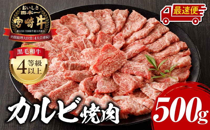 
                  【発送時期が選べる！】宮崎牛 カルビ焼肉 500g 3人分 4人分 3人前 4人前 カルビ焼肉 牛肉 肉 お肉 国産 国産牛 ブランド牛 和牛 黒毛和牛 カルビ 牛カルビ パック 使い勝手 冷凍 焼肉 BBQ バーベキュー アウトドア キャンプ おかず お取り寄せ グルメ 宮崎グルメ ギフト 贈り物 プレゼント オススメ おすすめ 人気 宮崎県 宮崎市 宮﨑_M243-004-SKU
                