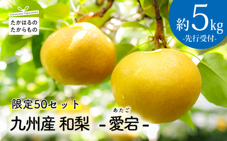 【先行受付・限定50箱】九州産和梨「愛宕(あたご)」5kg [季節限定 期間限定 果物 フルーツ 国産 日本産 ワンストップオンライン] TF0312-P00025