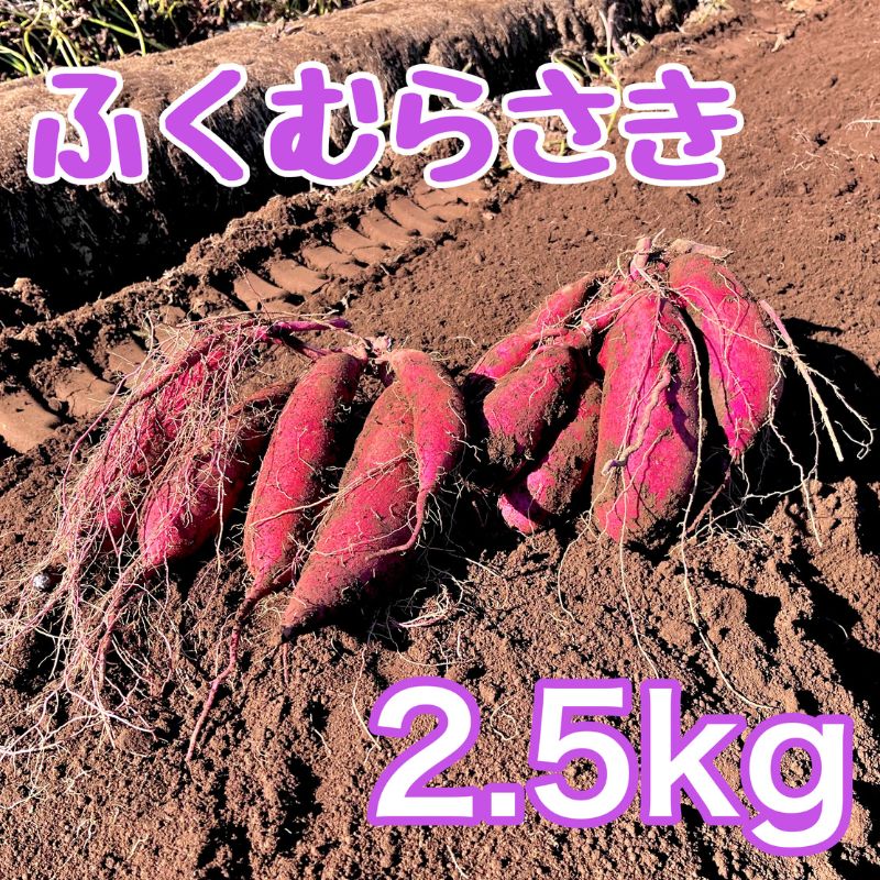ふくむらさき2.5kg　サツマイモ さつまいも 芋 千葉県 成田市