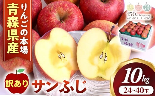 【訳あり】りんご【サンふじ】約10kg（24～40玉）【2025年産・先行予約】★2026年1月以降順次発送予定★ アップル 林檎 フルーツ 果物 果実  産地直送 農家直送 送料無料 青森県三戸町 R0332