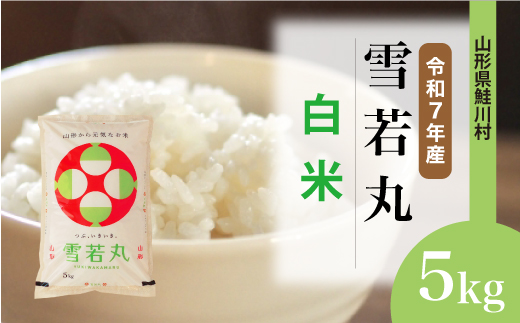 
                  ＜令和7年産＞ 雪若丸 【白米】 5kg （5kg×1袋）＜配送時期選べます＞　山形県鮭川村
                