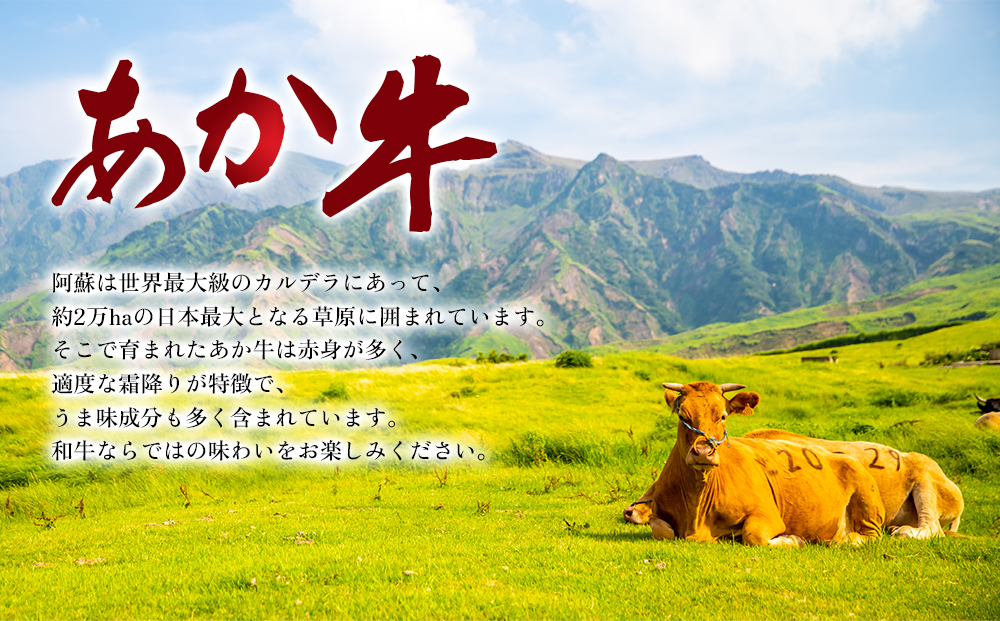 【GI認証】くまもとあか牛ロースステーキ約500g 阿蘇牧場 ブランド牛 和牛 牛肉 国産 あか牛 ロース ステーキ 500g  ジューシー 人気 希少 希少部位 熊本 阿蘇