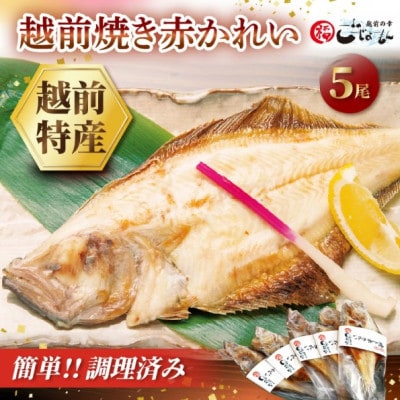 【のし付】【温めだけ】焼き調理済み 国産 越前赤かれい 5尾 干物 焼きカレイ【配送不可地域：離島】【1702963】