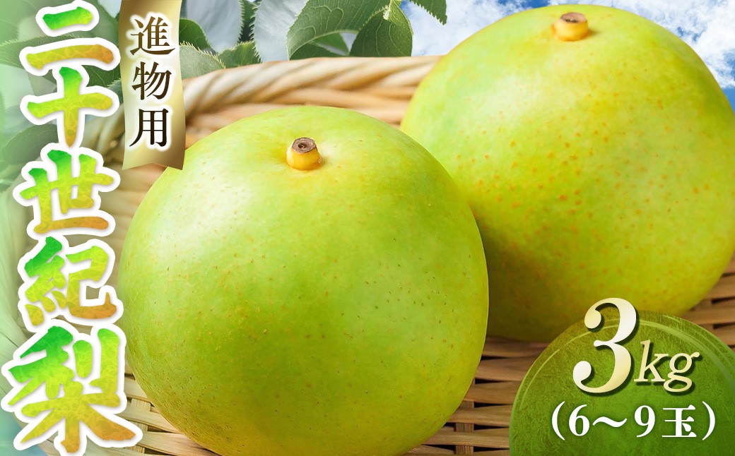
                  二十世紀梨【進物】3kg（東商果樹園） 鳥取 梨 果物 フルーツ 和梨 二十世紀梨 人気 甘い 進物 贈答用
                