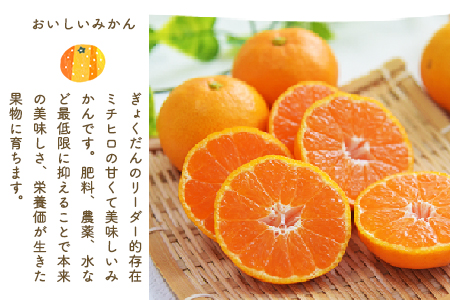 ぎょくだん『ミチヒロ』のみかん 約5kg(サイズおまかせ)《10月中旬-1月中旬出荷》『熊本・玉東、玉東町段々畑男子団。』ぷらっとぎょくとう