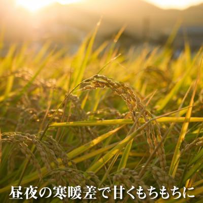 ふるさと納税 魚沼市 【毎月定期便】農家直送!魚沼産コシヒカリ(精米)5kg全12回 |  | 02