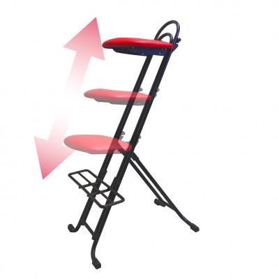 ふるさと納税 八尾市 ルネセイコウ　CMPS・JベストRST(レッド)(G176)