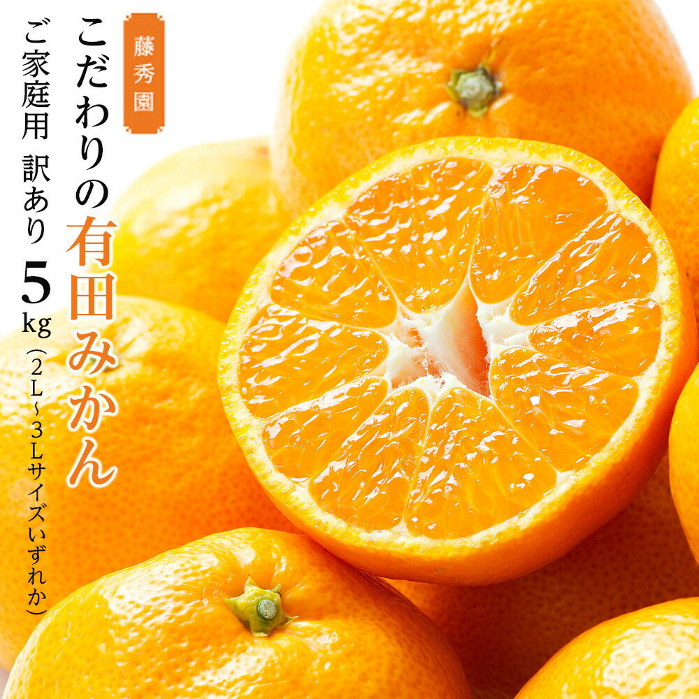 【ふるさと納税】こだわりの有田みかん ご家庭用 訳あり 5kg 2L～3Lサイズいずれか | みかん 蜜柑 フルーツ 果物 くだもの 食品 人気 おすすめ 送料無料 産地直送