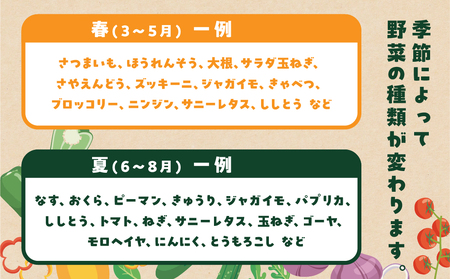 【定期便】あつみの旬の野菜BOX 4回定期便 やさい
