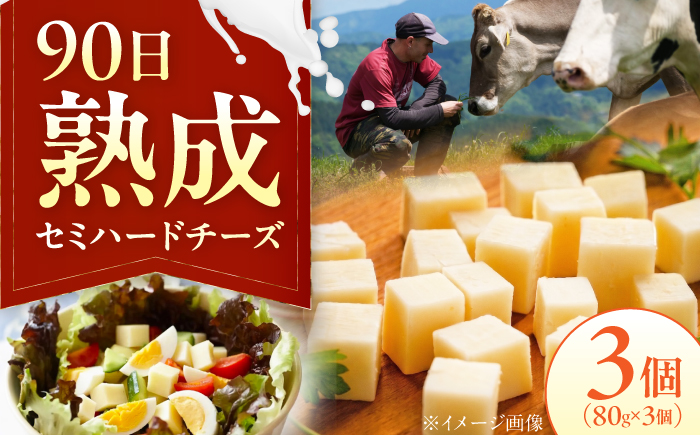 山地放牧酪農ミルクのセミハードチーズ（UCHIKO180）3個セット/チーズ   愛媛県 伝統製法 おつまみ 乳製品/株式会社醍醐 [BKAH010]